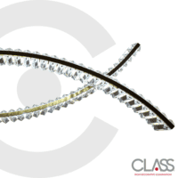 2CLAT109 - Imagen 5