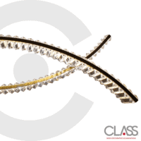 2CLAT109 - Imagen 4
