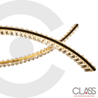 2CLAT109 - Imagen 3